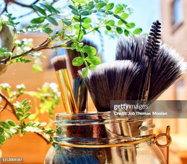 leafs & brushes - getty museum stock pictures, royalty-free photos & images