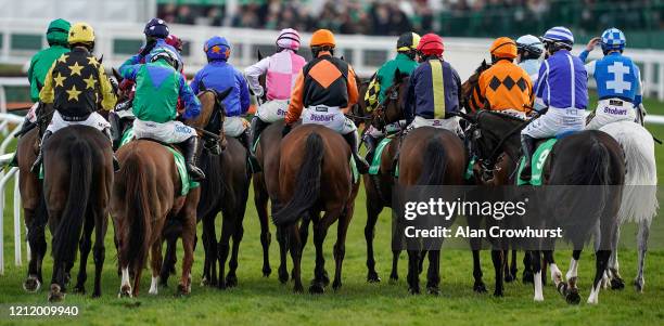 Cheltenham Festival 2020: St Patrick's Day, News Photo