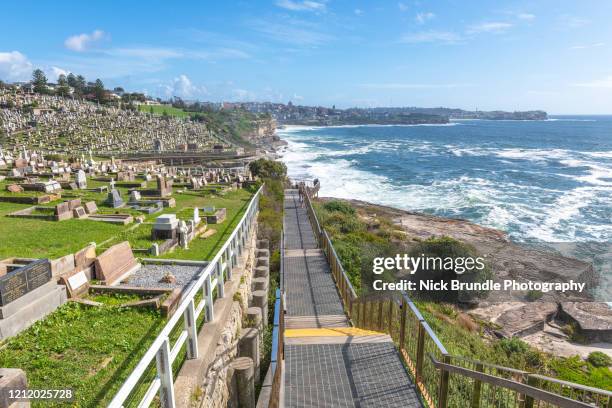 coogee to bondi coastal walk, sydney, australia - coogee stock-fotos und bilder