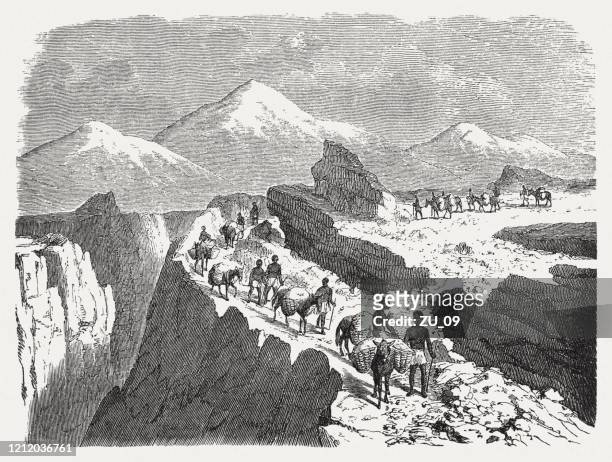 convoy across inca road, wood engraving, published in 1888 - inca stock illustrations