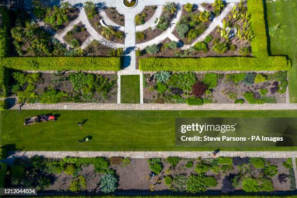 Small dedicated team of horticulturists care for RHS Garden Wisley near Woking, Surrey, while spring highlights burst into bloom, as the UK continues...