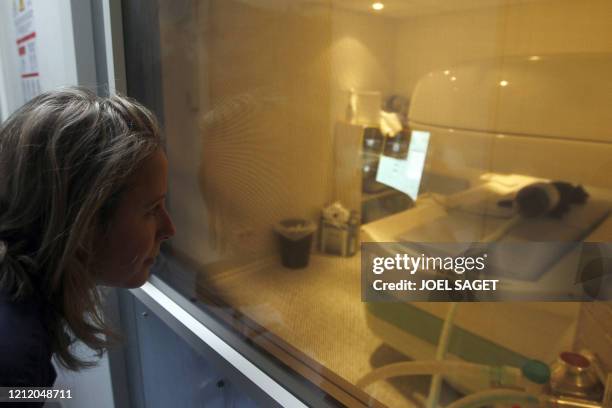 Une vétérinaire fait passer un IRM à un chien le 30 novembre 2010 à Paris dans la clinique Advetia. Dans la salle d'attente, la chatte Tundra...