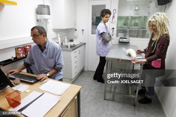 Un vétérinaire s'apprête à examiner un furet, le 30 novembre 2010 à la clinique Advetia à Paris. Dans la salle d'attente, la chatte Tundra patiente...