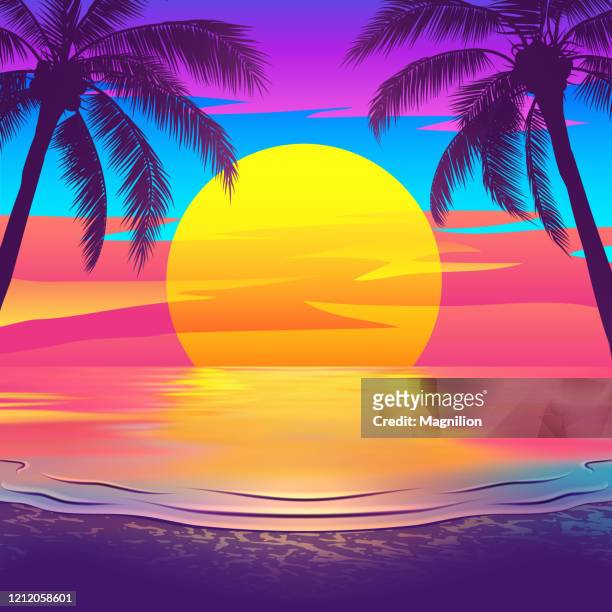 tropischer strand bei sonnenuntergang mit palmen - sommer stock-grafiken, -clipart, -cartoons und -symbole