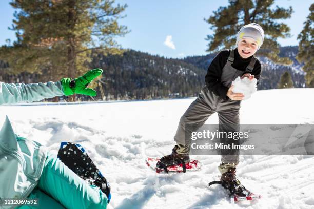 a six year old boy with snow shoes holding a large snowball. - skischoen stockfoto's en -beelden
