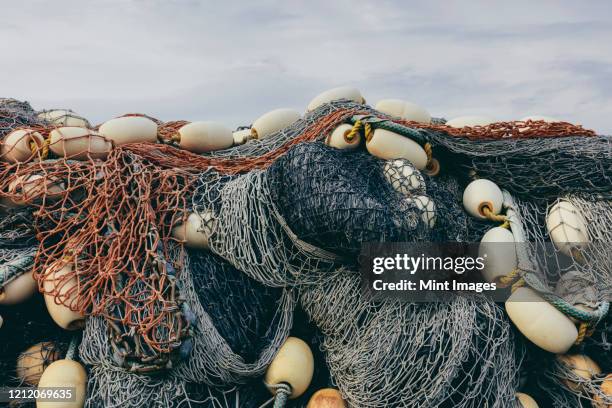 In Fish Terminal Seattle Fishermen Terminal Photos and Premium High Res Pictures - Getty ...