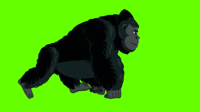21 Gorilla Cartoon Videos and HD Footage - Getty Images