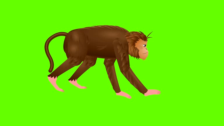 70 Monkey Cartoon Videos and HD Footage - Getty Images 70 Monkey Cartoon Videos and HD Footage - Getty Images