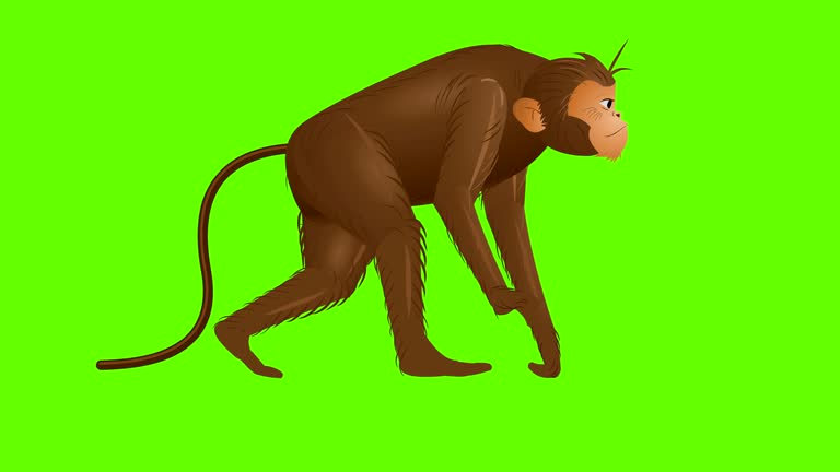 70 Monkey Cartoon Videos and HD Footage - Getty Images 70 Monkey Cartoon Videos and HD Footage - Getty Images