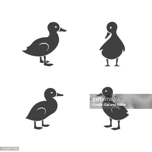 ducklings silhouettes - duck bird stock illustrations