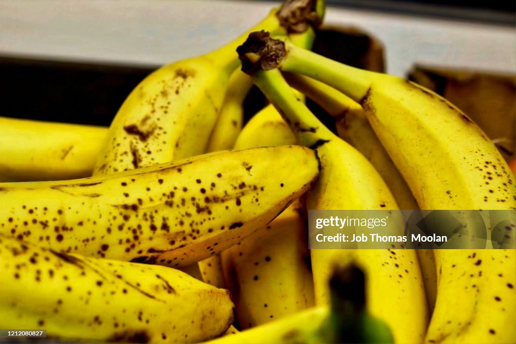 Bananas