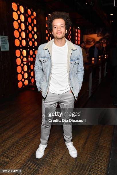Damon J. Gillespie attends the after party for the screening of "The Climb" at iPic Theater - The Tuck Room on March 12, 2020 in New York City.