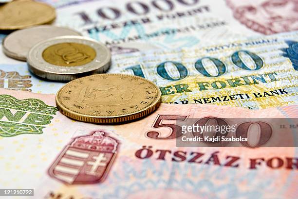 forints - hungary forint stock pictures, royalty-free photos & images