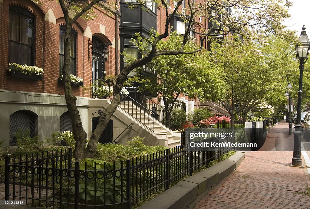 Spring on Beacon Hill