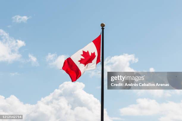 canada flag - bandiera del canada foto e immagini stock