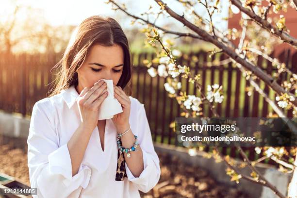 het niezen van de vrouw in de bloeiende tuin - sinusitis stockfoto's en -beelden