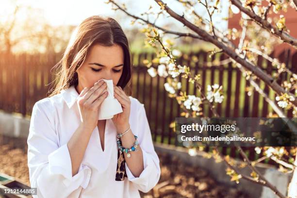 女人在盛開的花園裡打噴嚏 - 傷風病毒 個照片及圖片檔