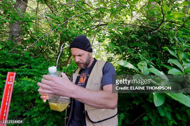 Washington State Department of Agriculture entomologist Chris Looney eyes a trap he retrieved, set in an effort to locate the Asian giant hornet, as...