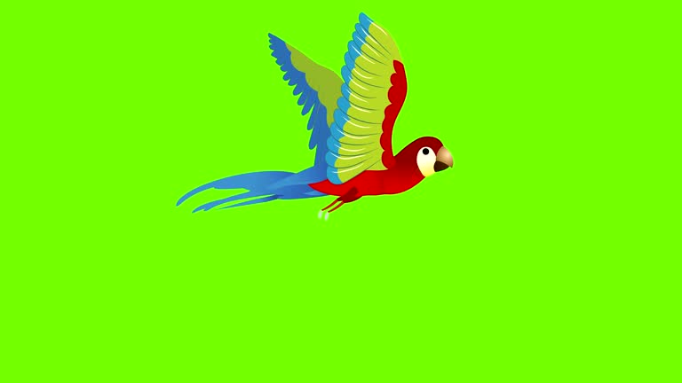 673 Flying Bird Animation Videos and HD Footage - Getty Images 673 Flying Bird Animation Videos and HD Footage - Getty Images