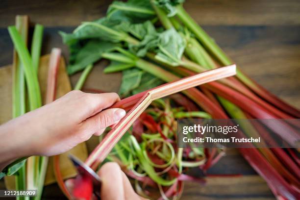 Symbol image: A woman is peeling fresh rhubarb on May 03, 2020 in Berlin, Germany.