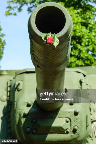 Tank Shooting Roses Ww2 German Tanks Photos and Premium High Res Pictures - Getty Images