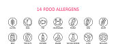 14 round food allergens icon. Vector set of 14 icons. Collection includes gluten, fish, egg, crustacean, peanut, lupin, soya, milk, trees nuts, mustard, sesame, sulphur dioxide.