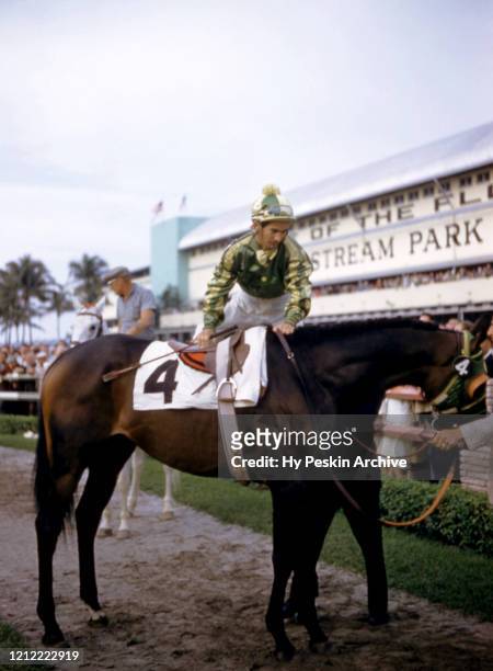 Jockey Bill Shoemaker gets on Round Table before a race at Gulfstream Park circa March, 1958 in Hallandale Beach, Florida.