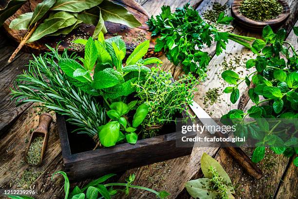 erbe biologiche profumate fresche per la cottura sul tavolo rustico della cucina - erba aromatica foto e immagini stock