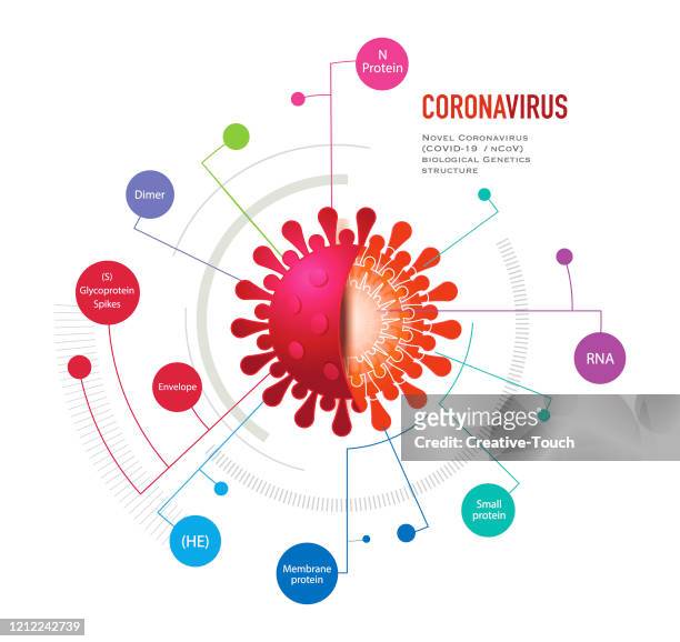 virus particule infografik - particule stock-grafiken, -clipart, -cartoons und -symbole