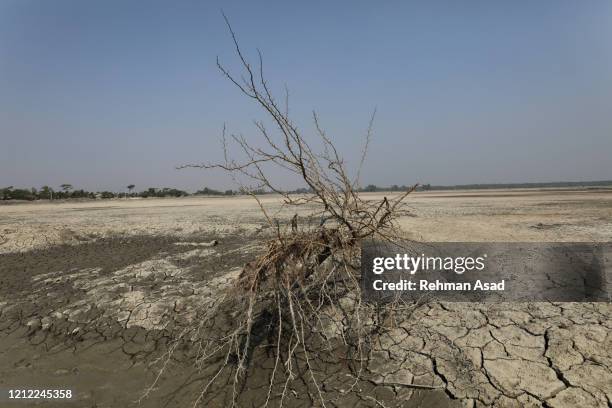 climate change - water crisis stock pictures, royalty-free photos & images