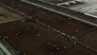 preview clip thumb