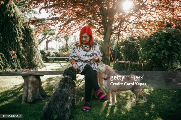 cheerful senior woman  and her dogs - mature adult walking dog stock pictures, royalty-free photos & images