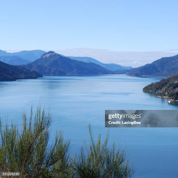 kenepuru sound, marlborough sounds, nz - kenepuru sound stock pictures, royalty-free photos & images