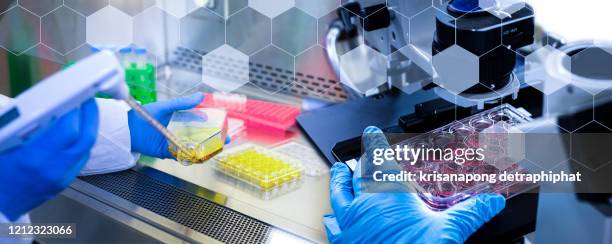blood research,scientist's laboratory,research lab,analyzing a blood sample in test tube at laboratory with microscope. medical, pharmaceutical and scientific research and development concept.coronavirus, - organismo vivo imagens e fotografias de stock