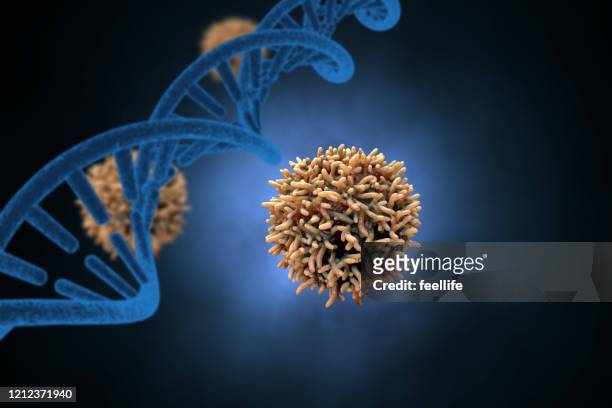 3d virus - hpv stock pictures, royalty-free photos & images