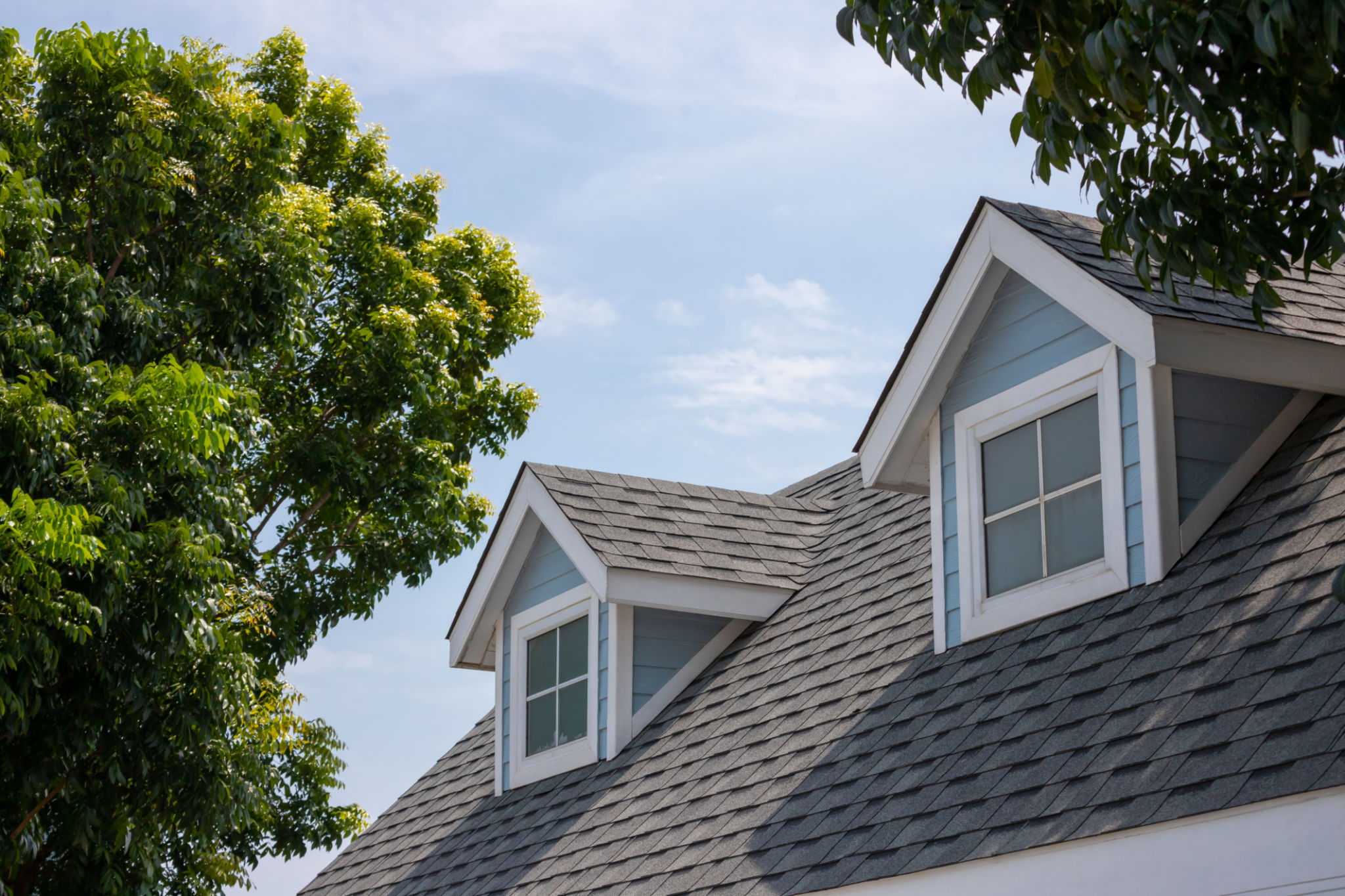 dark roof