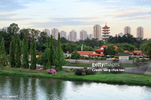 singapore gardens city. asia - classical chinese garden fotografías e imágenes de stock