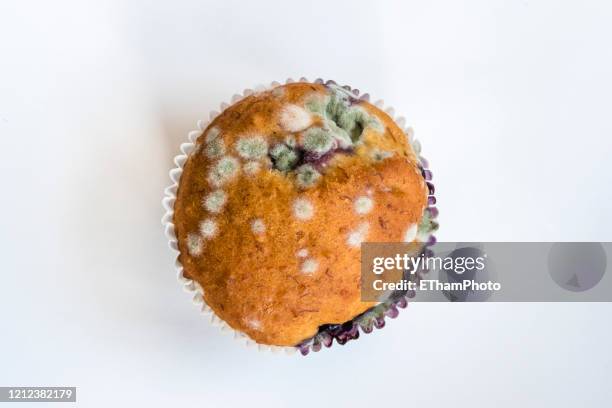 Closeup Of Fungi On A Mouldy Muffin Covered With Mildew High-Res