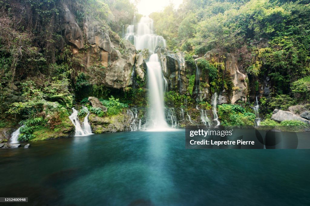 Bassin des aigrettes, 3 bassins, la Réunion