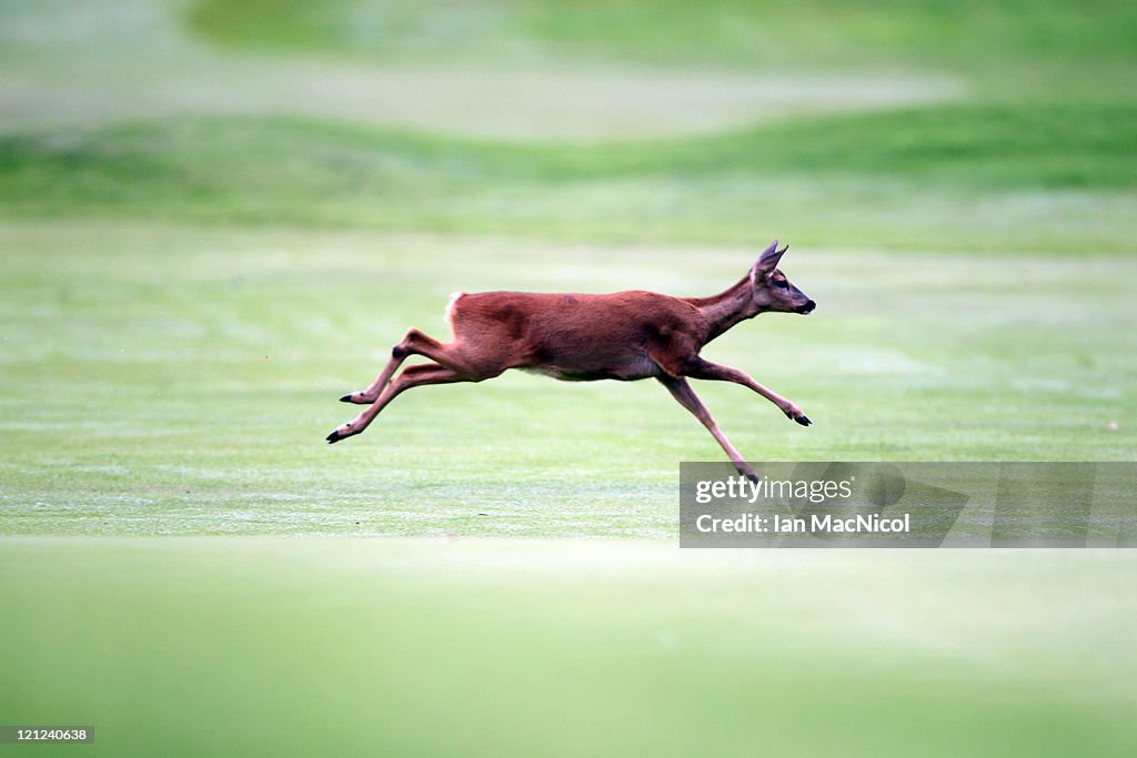Skins PGA Fourball championship - Regional Qualifier