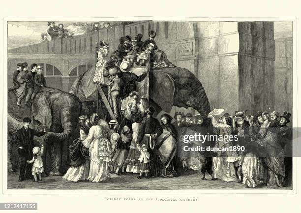 victorian visitors to london zoo riding elephants, jumbo, 1870s - busy zoo stock illustrations