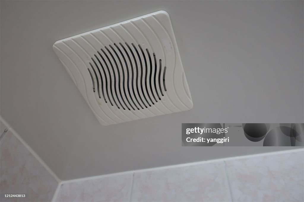Shower room ventilator