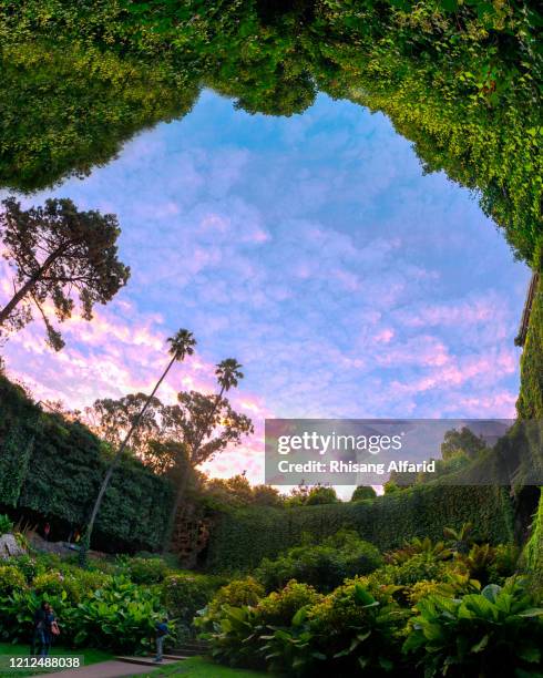 umpherston cave garden - erdfall stock-fotos und bilder