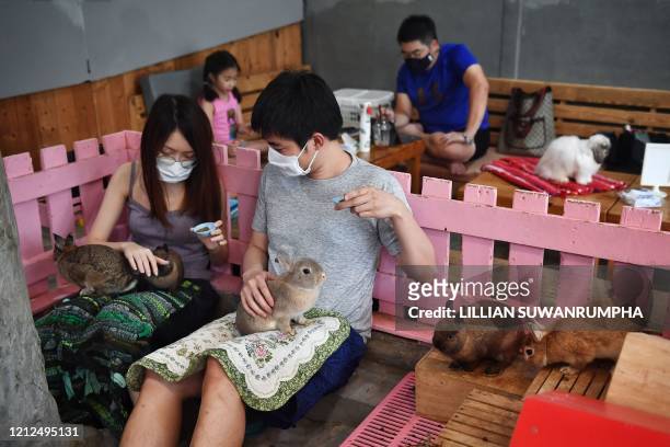 Customers in face masks feed rabbits at the reopened Rabbito Cafe, following temporary closure due to concerns of the COVID-19 coronavirus epidemic,...