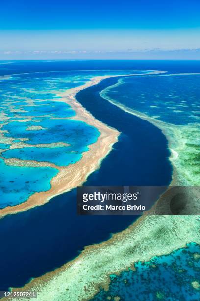 australia. whitsundays. great barrier reef. aerial view - whitsunday island stockfoto's en -beelden