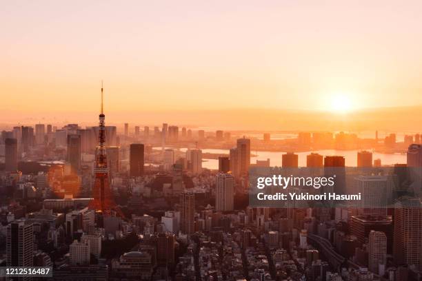 tokyo skyline at early morning - japan sunrise stock-fotos und bilder