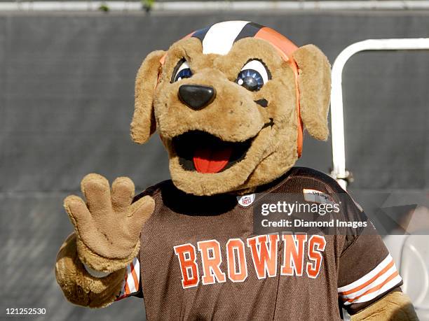 Cleveland Browns Mascot "Chomps" greets fans during a training camp practice on August 16, 2011 at the Cleveland Browns Training Facility in Berea,...