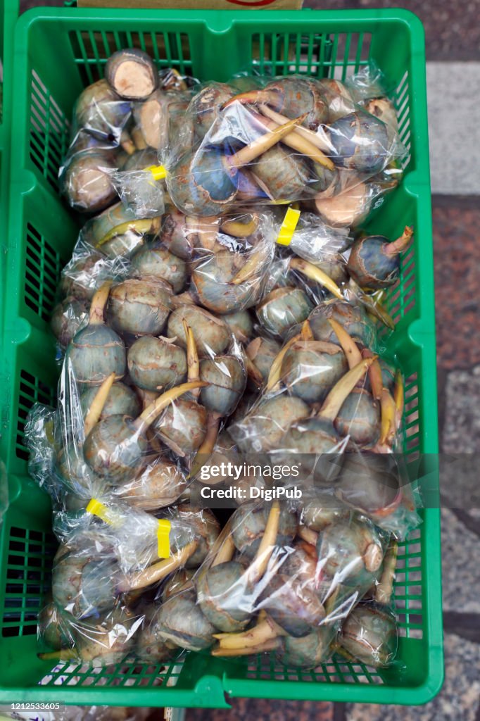 Arrowhead (Sagittaria sagittifolia) being sold at Yokohamabashi Market