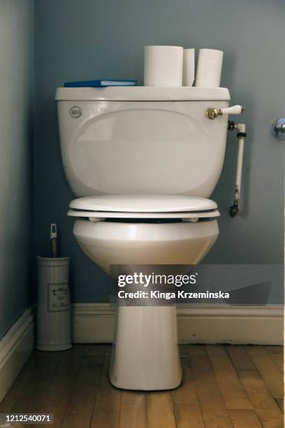 1 064 Porcelain Toilet Stock Photos High Res Pictures And Images 1-064-porcelain-toilet-stock-photos-high-res-pictures-and-images
