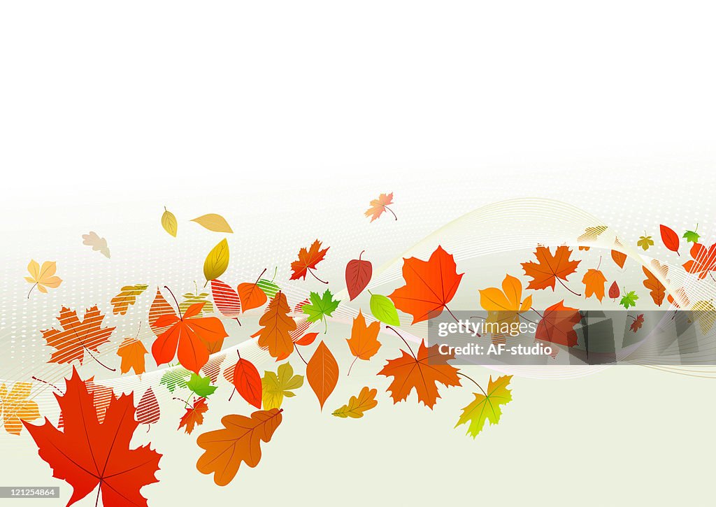 Autumn background